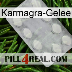 Karmagra Jelly 16